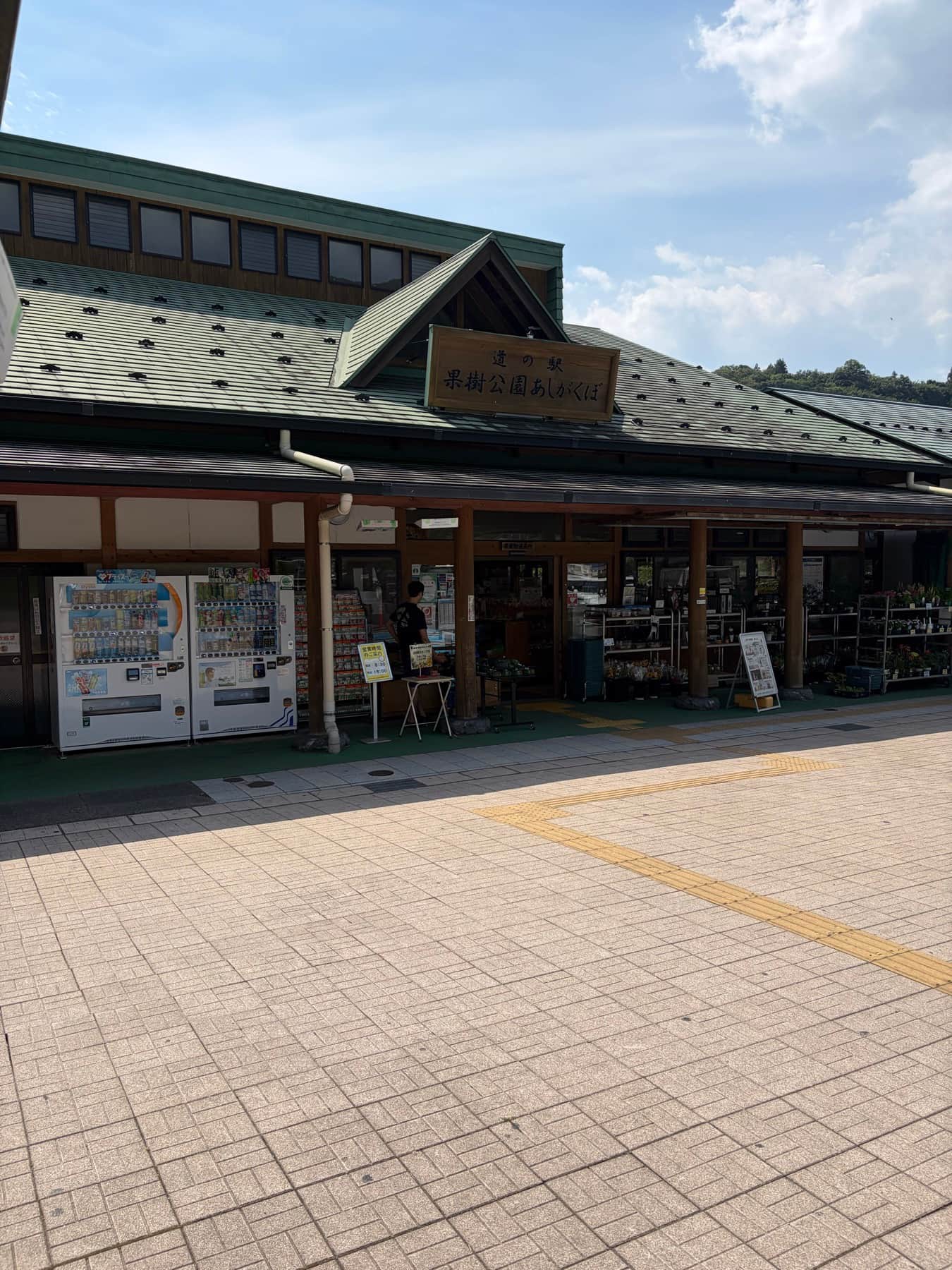 道の駅あしがくぼで川遊び|降り口と持ち物の実際
